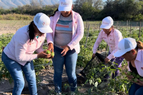 Mujeres del Campo se amplía en Tamaulipas ¿de qué se trata el programa?