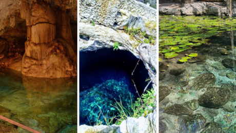 Cenotes baratos que puedes visitar a menos de 1 hora de Mérida