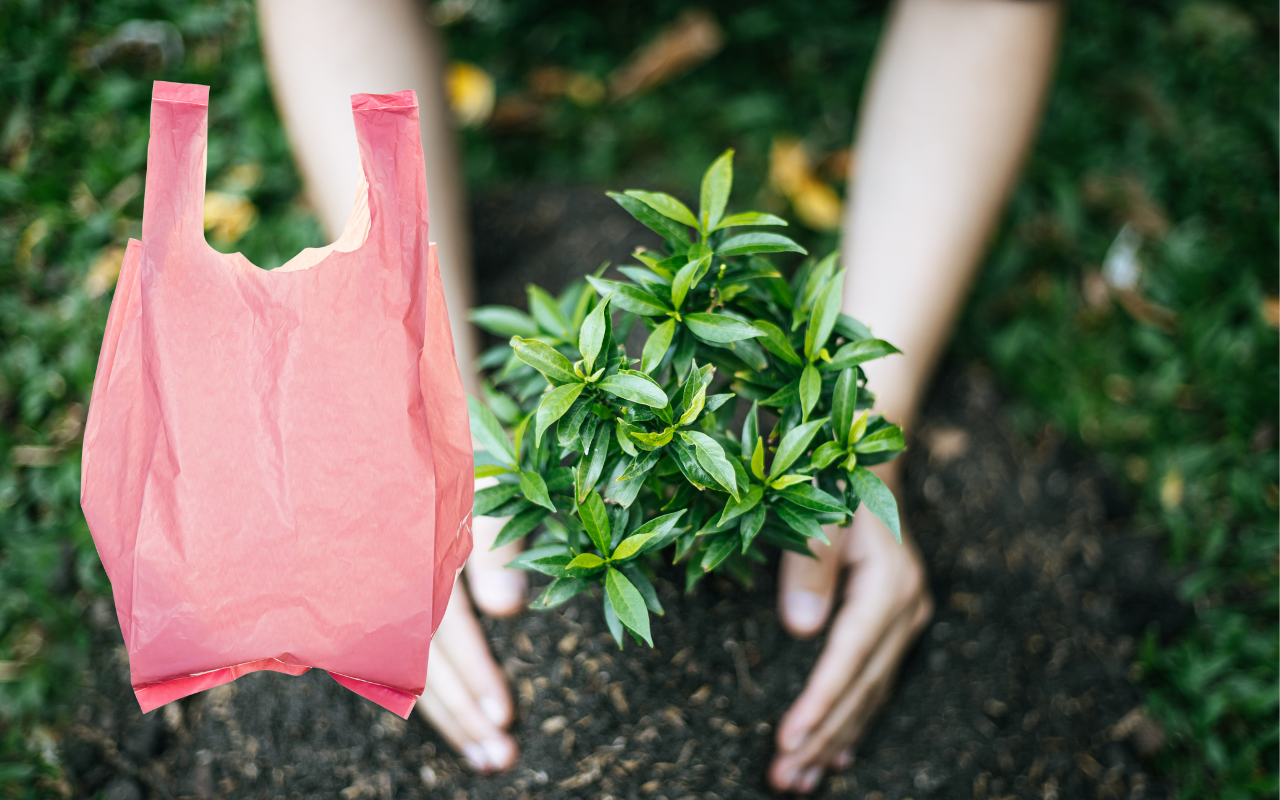 Con una sola bolsa puedes proteger tus árboles. Foto: Especial.