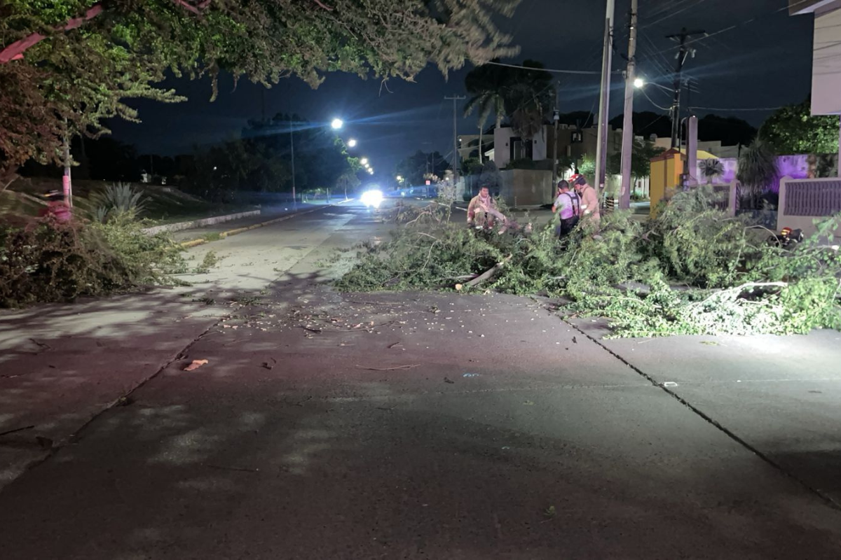 Fueron muchos los sectores afectados por los fuertes vientos que se registraron esta madrugada en la zona sur de Tamaulipas. Foto: Axel Hassel