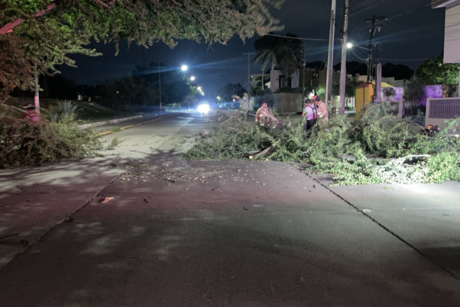 Frente frío 14 destroza zona sur de Tamaulipas y genera caos