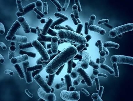 Activan alerta epidemiológica; suman 15 casos de nueva bacteria en Edomex