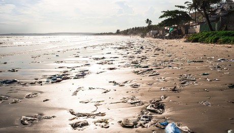 ¿Sales de vacaciones a la playa? Te decimos cuales son las mas contaminadas, segun Cofepris