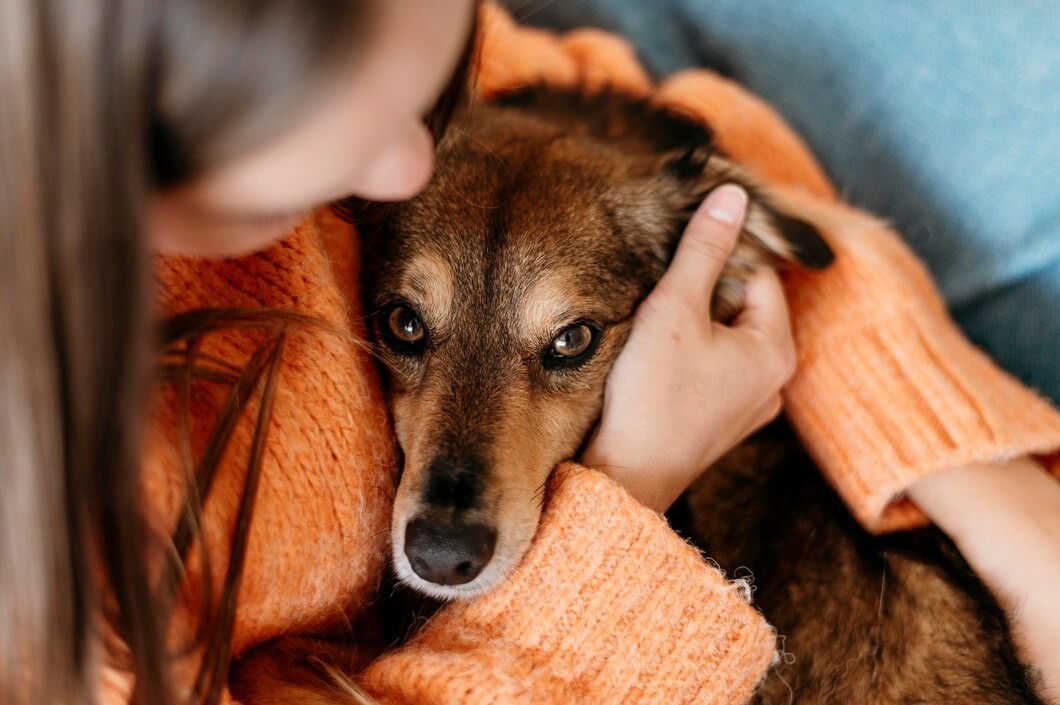 Contra el maltrato animal. Foto: Freepik