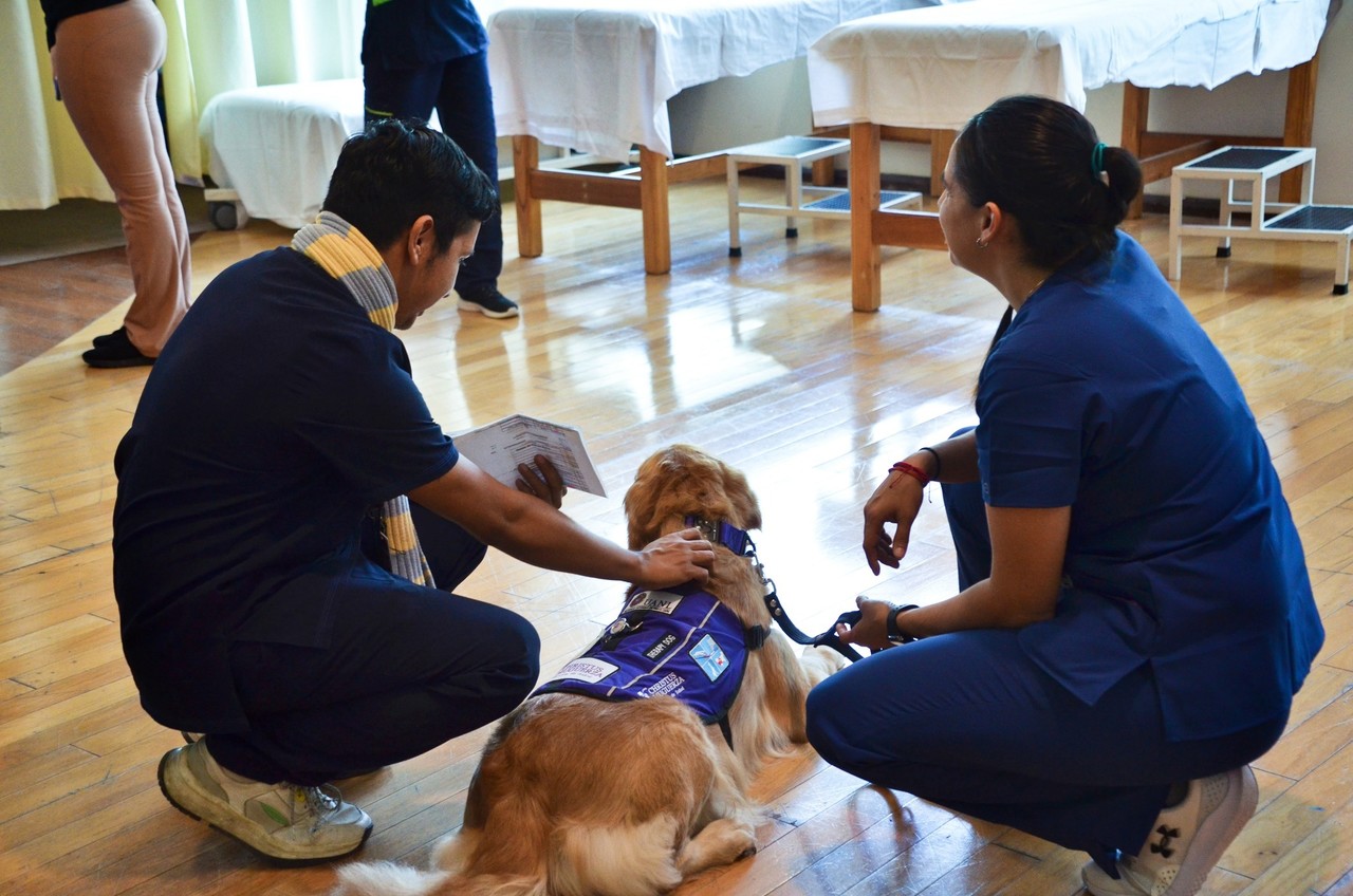 Perro entrenado y personal médico. Foto: Facebook Manadak9