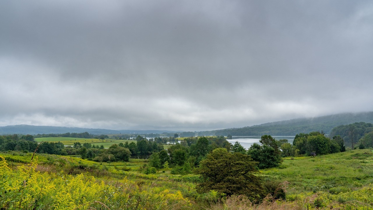 Imagen ilustrativa de un campo con el cielo nublado antes de la tormenta. Foto: Freepik