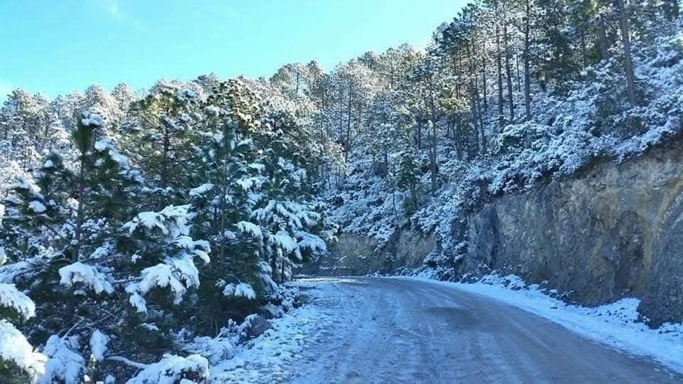 Camino a La Marcela, Miquihuana, Tamaulipas. Foto: Redes sociales