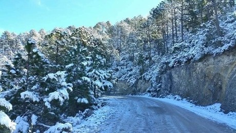 Clima en Tamaulipas: Efectos del frente frío 14 se acentuarán en las próximas horas