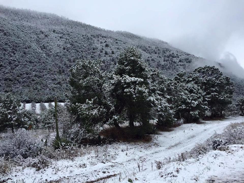 Arteaga, Coahuila. Foto de Miltón Hernández.