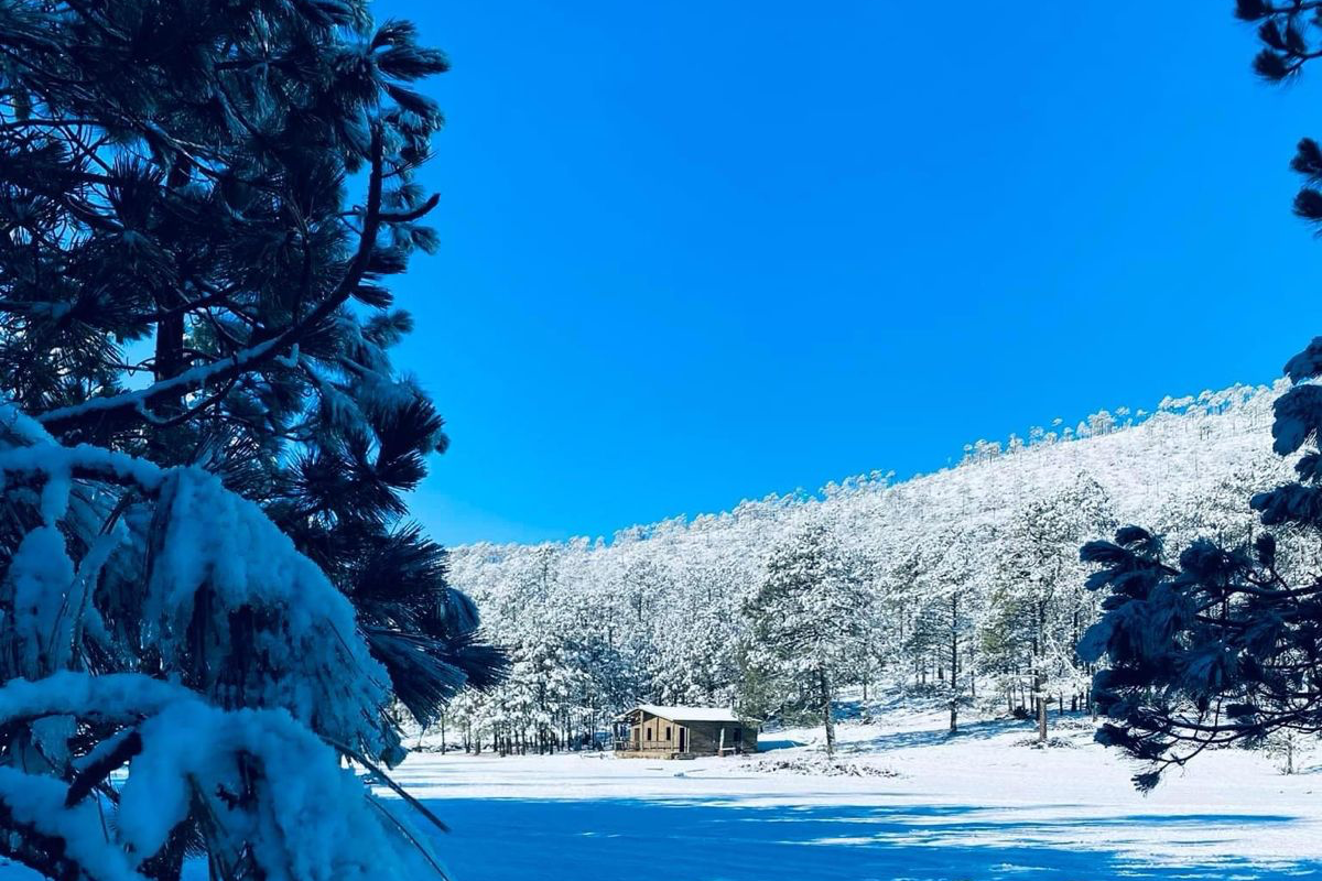 Caída de nieve registrada en Miquihuana el pasado invierno, considerada una de las zonas más altas de Tamaulipas. Foto : Carlos García