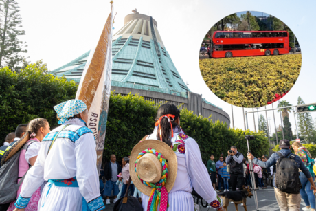 Día de la Virgen de Guadalupe: estas son las estaciones del Metrobús que cerrarán