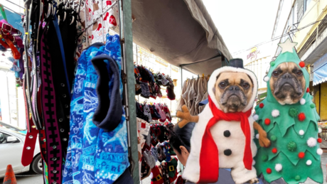 Navidad en Yucatán: Aumenta venta de disfraces para mascotas