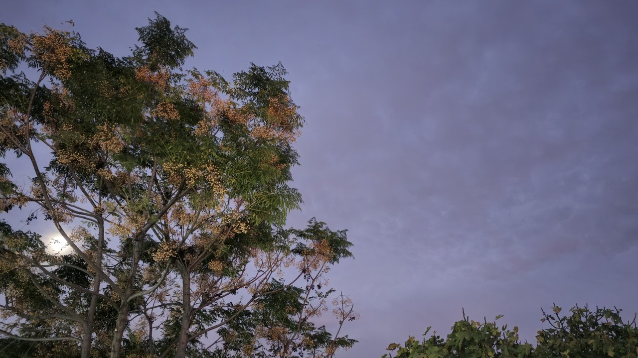 Conoce cual serán las condiciones climáticas de este día para que tomes tus precauciones durante este sábado 14 de diciembre.  Foto: Gerardo Lares.