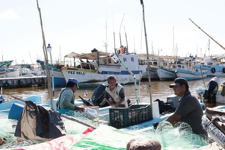 Fortalecen el sector pesquero en Yucatán: ¿Cuáles son las acciones que implementarán?