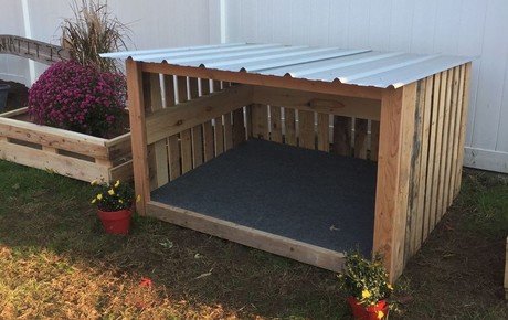 DIY: Construye una casita para tu perro con materiales reciclados