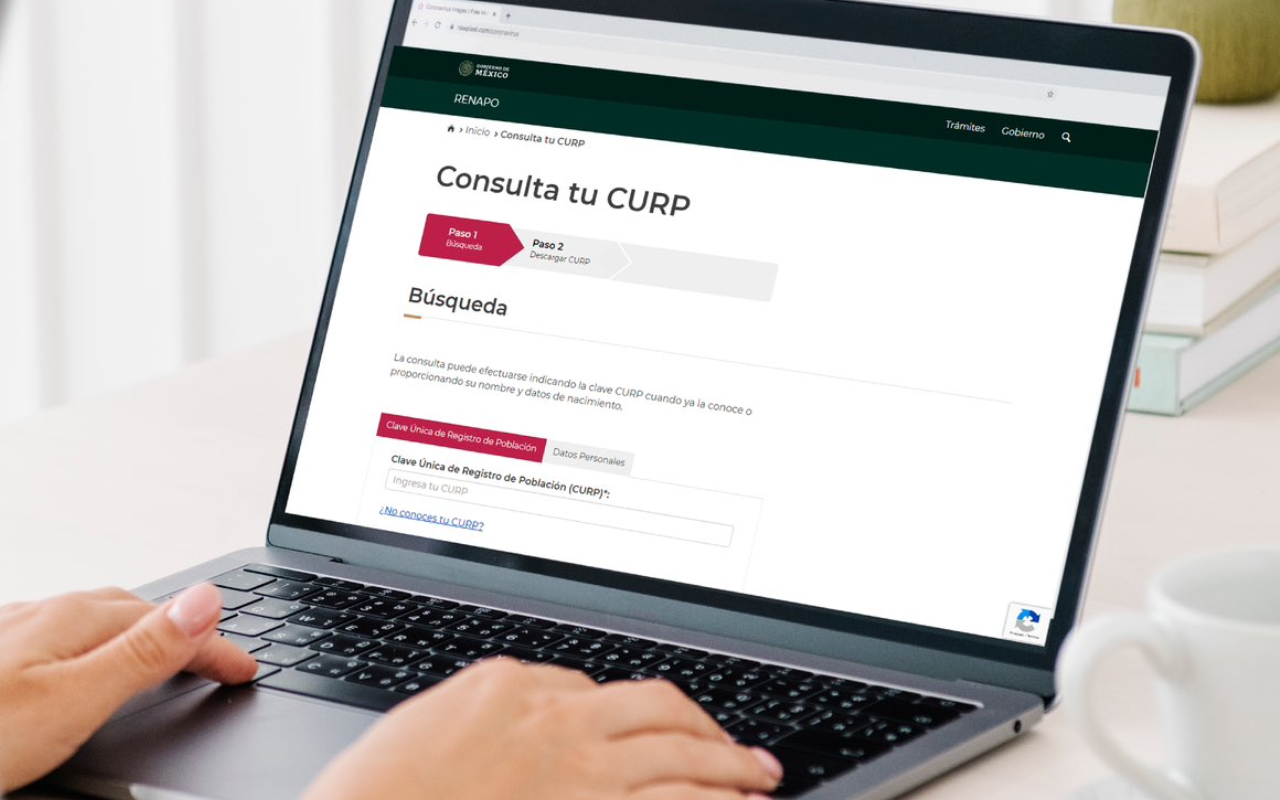 Persona realizando el trámite del CURP en internet. Foto: @rosaicela_
