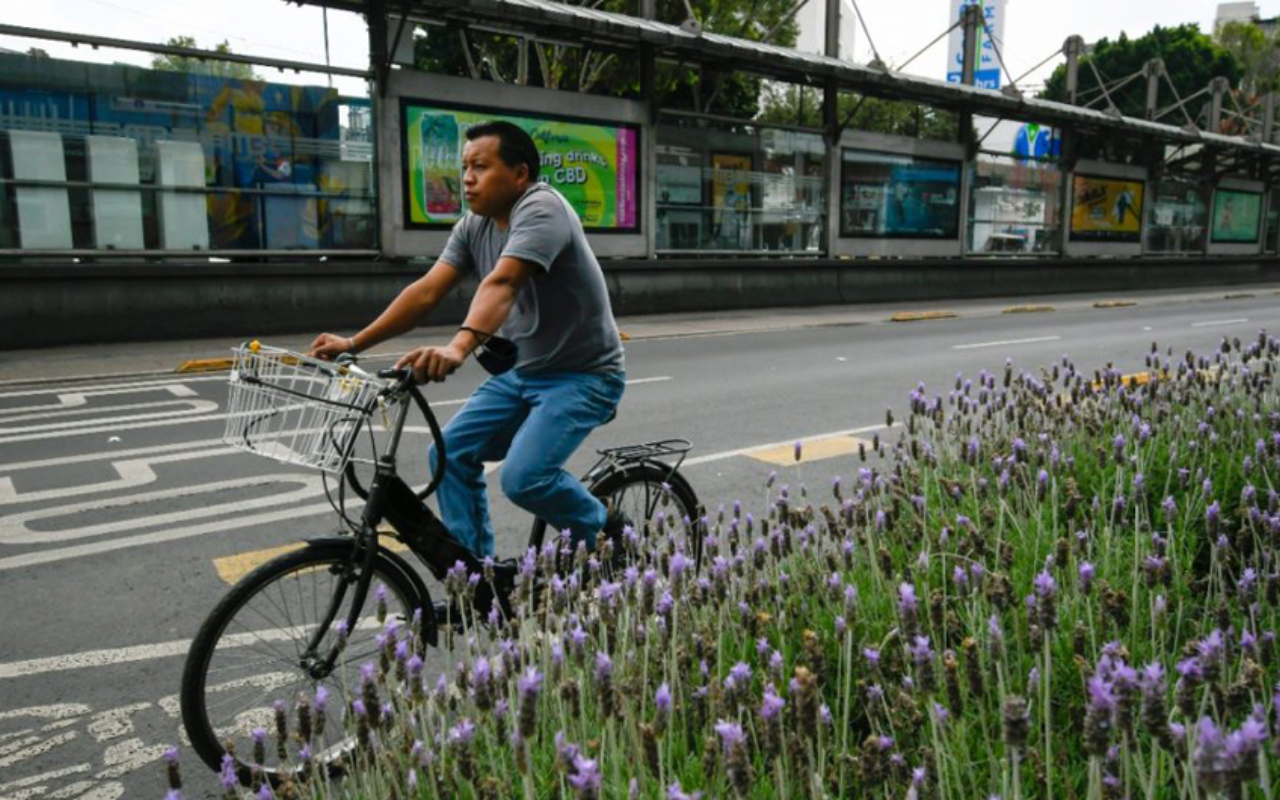 Persona en bici y calle donde puede andar en CDMX. Foto:  Gobierno CDMX