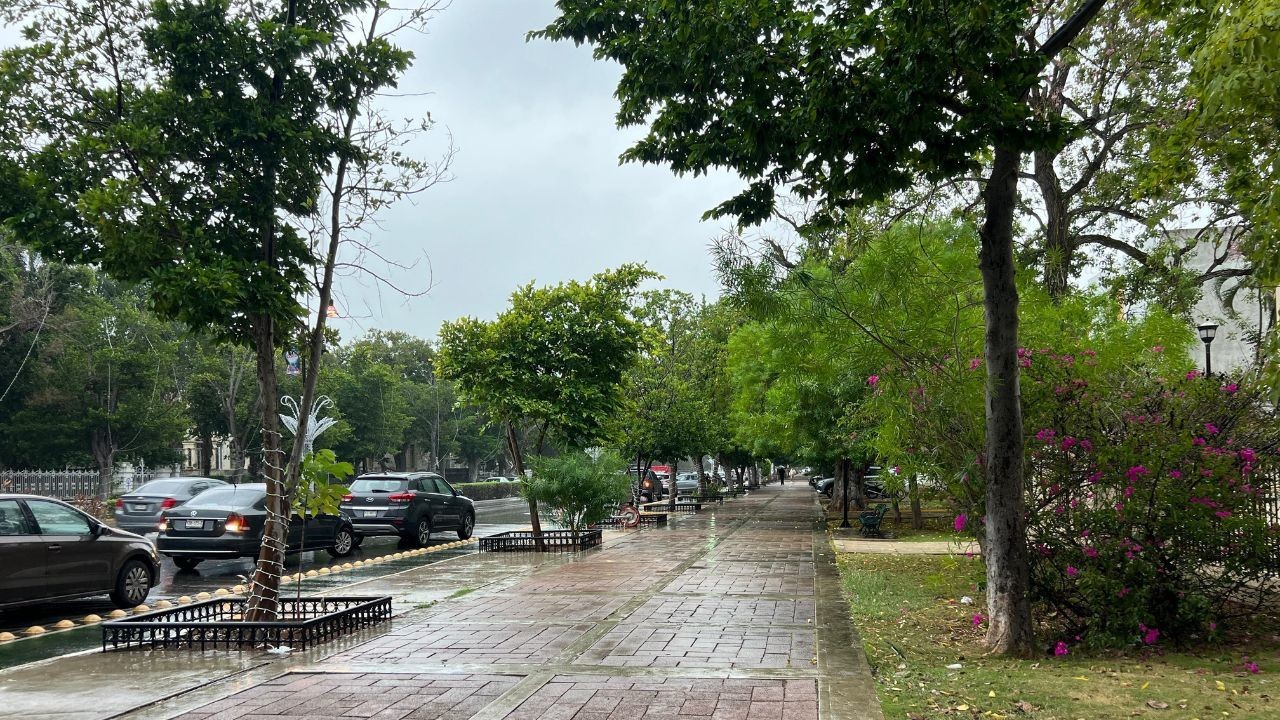 ¿Seguirán las mañanas y noches frescas en Yucatán? Foto: Archivo/Irving Gil