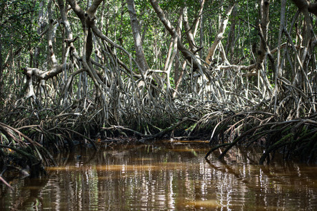 ¿Cuáles son las principales rutas para recorrer la Reserva de la Biosfera de Ría Celestún?