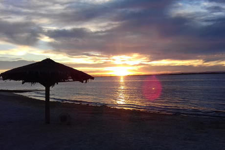 ¡A vacacionar en las playas de BCS! Son calificadas con excelentes condiciones sanitarias