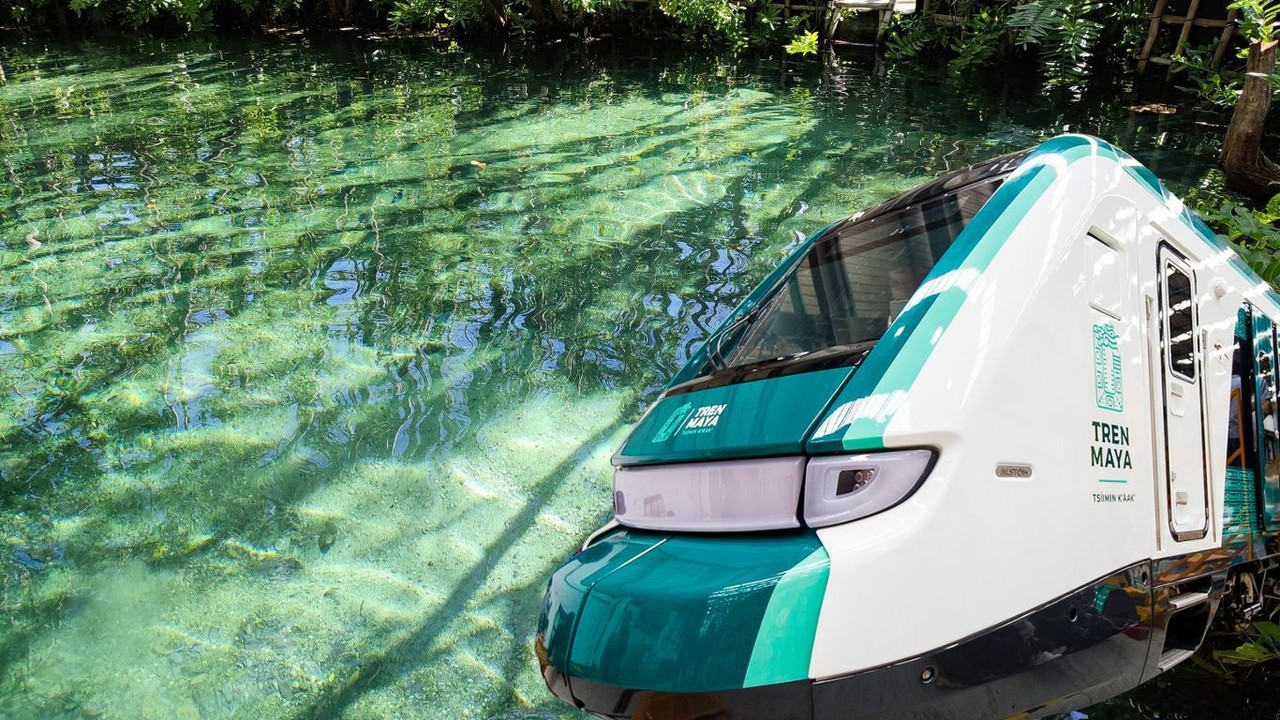 ¿Qué cenotes visitar en la ruta del Tren Maya?. Foto: Unsplash