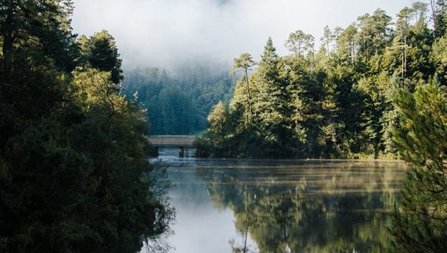 Las Lagunas de Zempoala: Un refugio natural a una hora de CDMX. Foto: @ChrisLejarazu