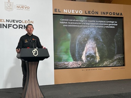 Esto debes hacer si te topas con un oso negro en Nuevo León