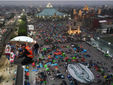 Operativo Basílica, ¿cómo se atenderá a los peregrinos el 12 de diciembre?