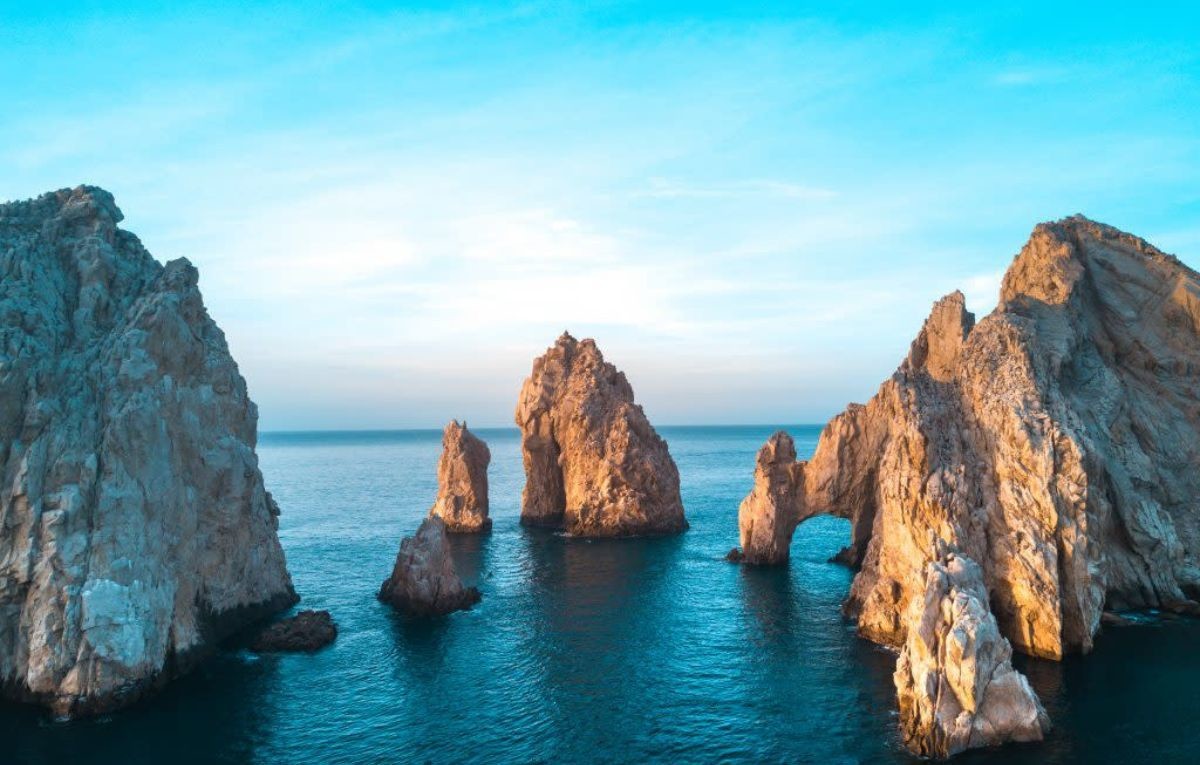 Si amas la naturaleza, diciembre es el mes ideal para visitar reservas naturales como la de Vizcaíno en Baja California Sur, donde podrás ver especies como la ballena gris y aves migratorias. Foto: Visita Los Cabos