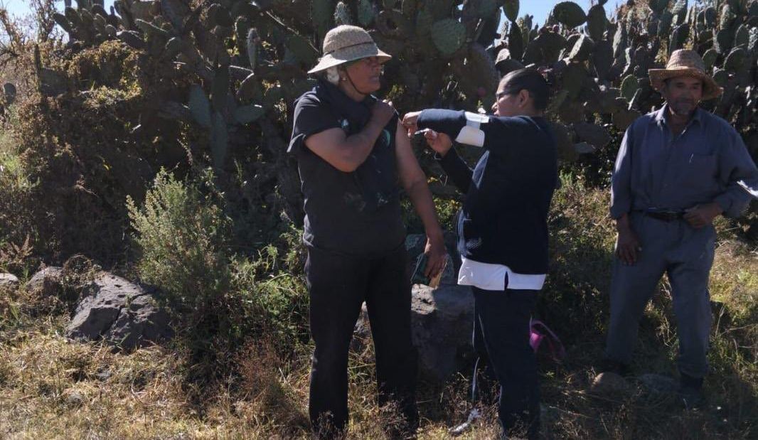 Brigadas intensivas de vacunación recorren el Edomex. Foto: @SaludEdomex