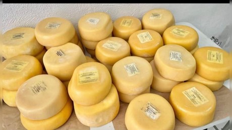 El famoso queso de Tepehuanes del 'Potrero de Cháidez', ¿Dónde comprarlo?