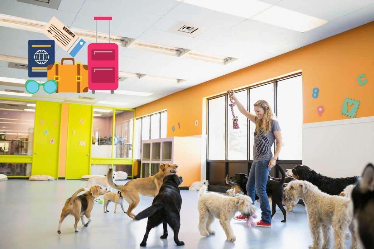 Perritos en una guardería especializada. Foto:  stock fotos Canva / edición Canva