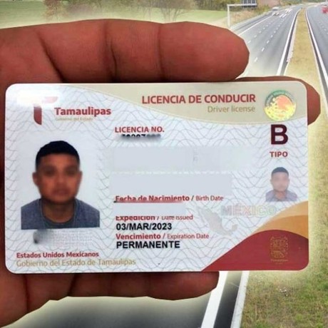 ¿Cómo tramitar tu licencia en Tamaulipas? Te decimos como