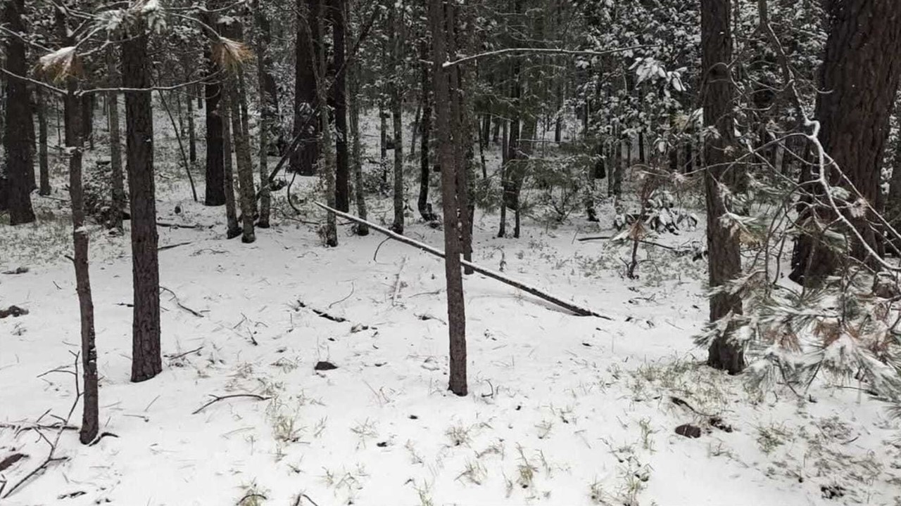 Consultamos a dos de las inteligencias artificiales más populares y esto fue el pronóstico que nos dieron sobre cuando será la próxima nevada en el Salto. Foto: Facebook/ El Salto Durango.