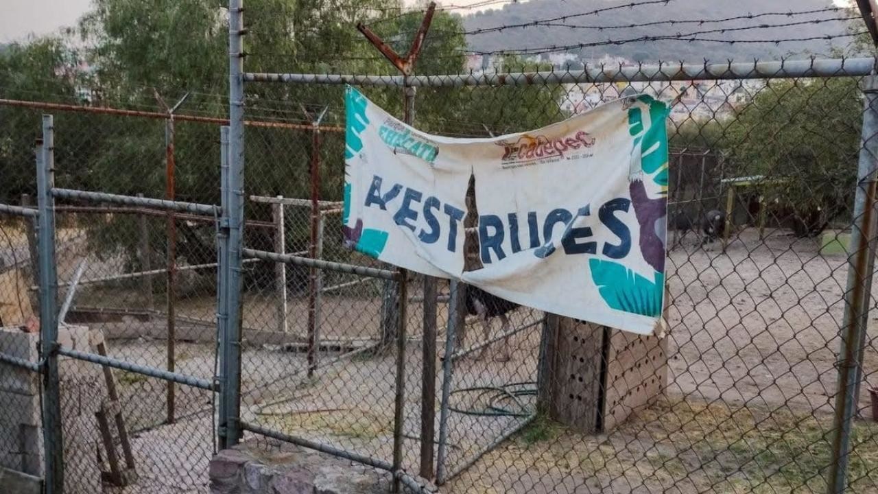 Desaparecen 11 animales en el Parque Ecológico Ehécatl de Ecatepec. Foto: Ecatepec por el Derecho al Agua