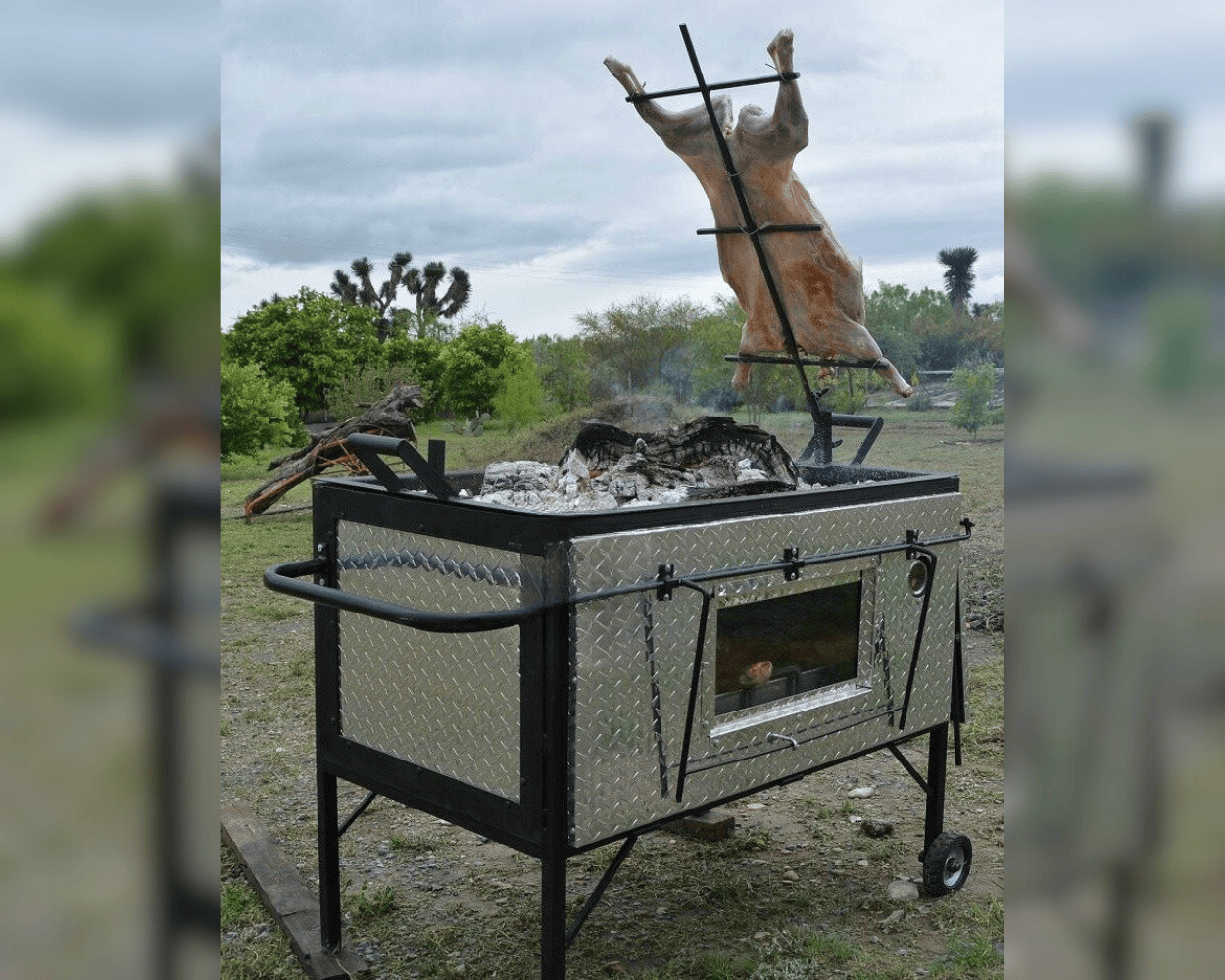 Un cabrito sobre las brasas en un asador. Foto: Redes sociales