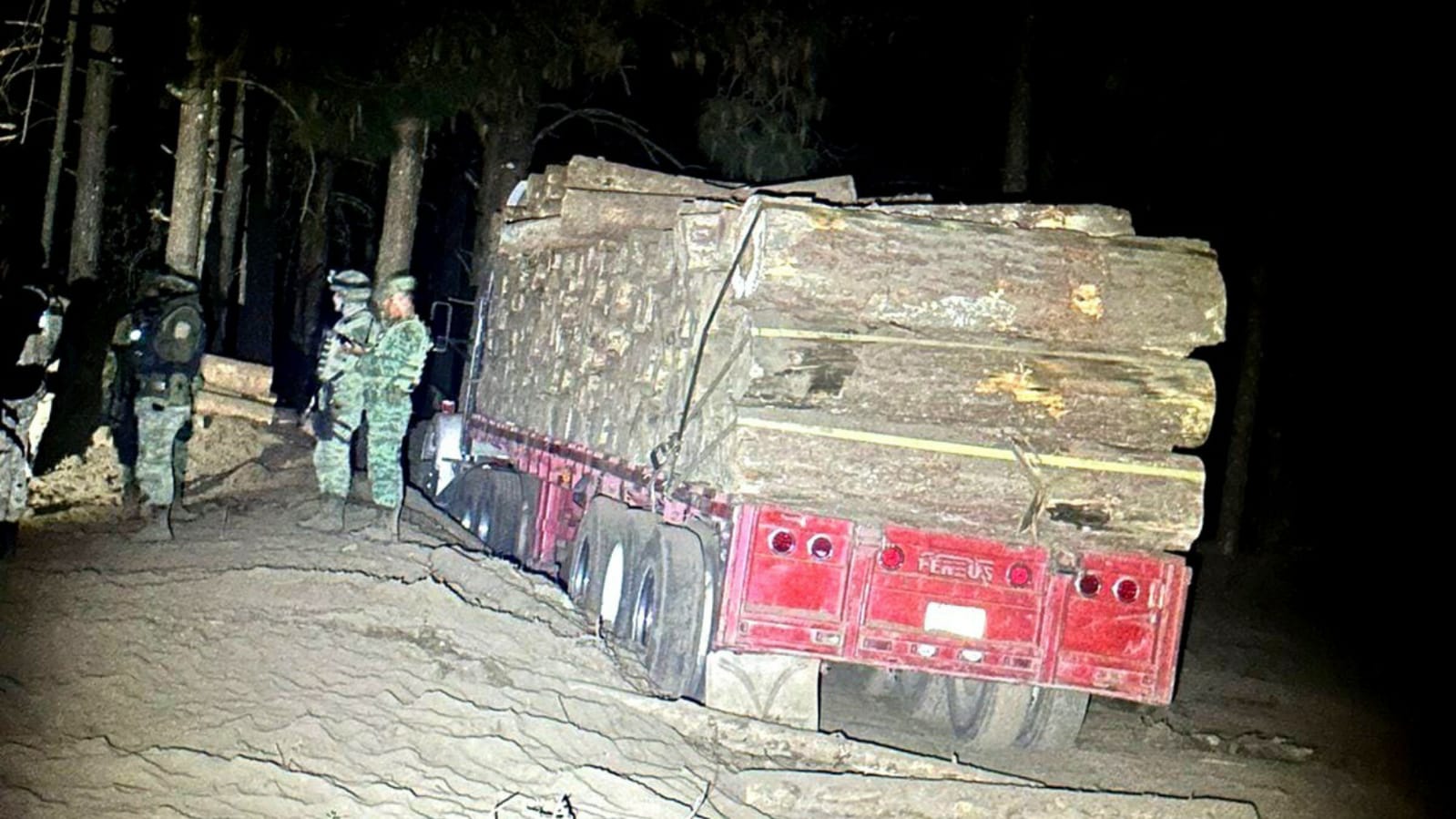 Caen dos de la Familia Michoacana con 30 toneladas de madera ilegal. Foto: SSEM 
