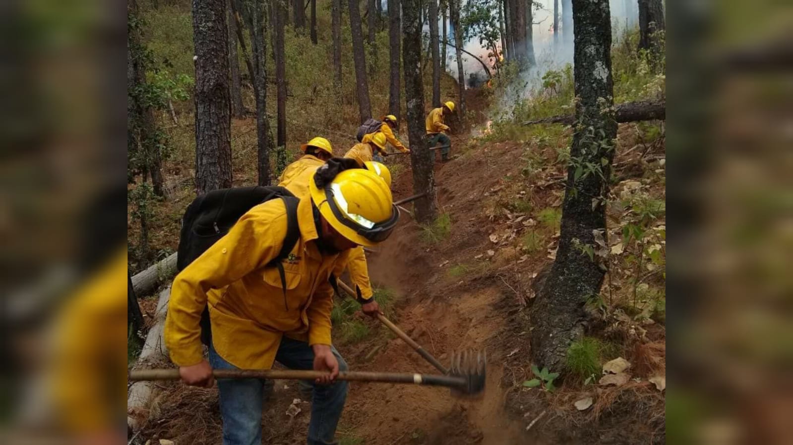 Combaten 4 incendios forestales en Edomex, van a la baja. Foto: Probosque 