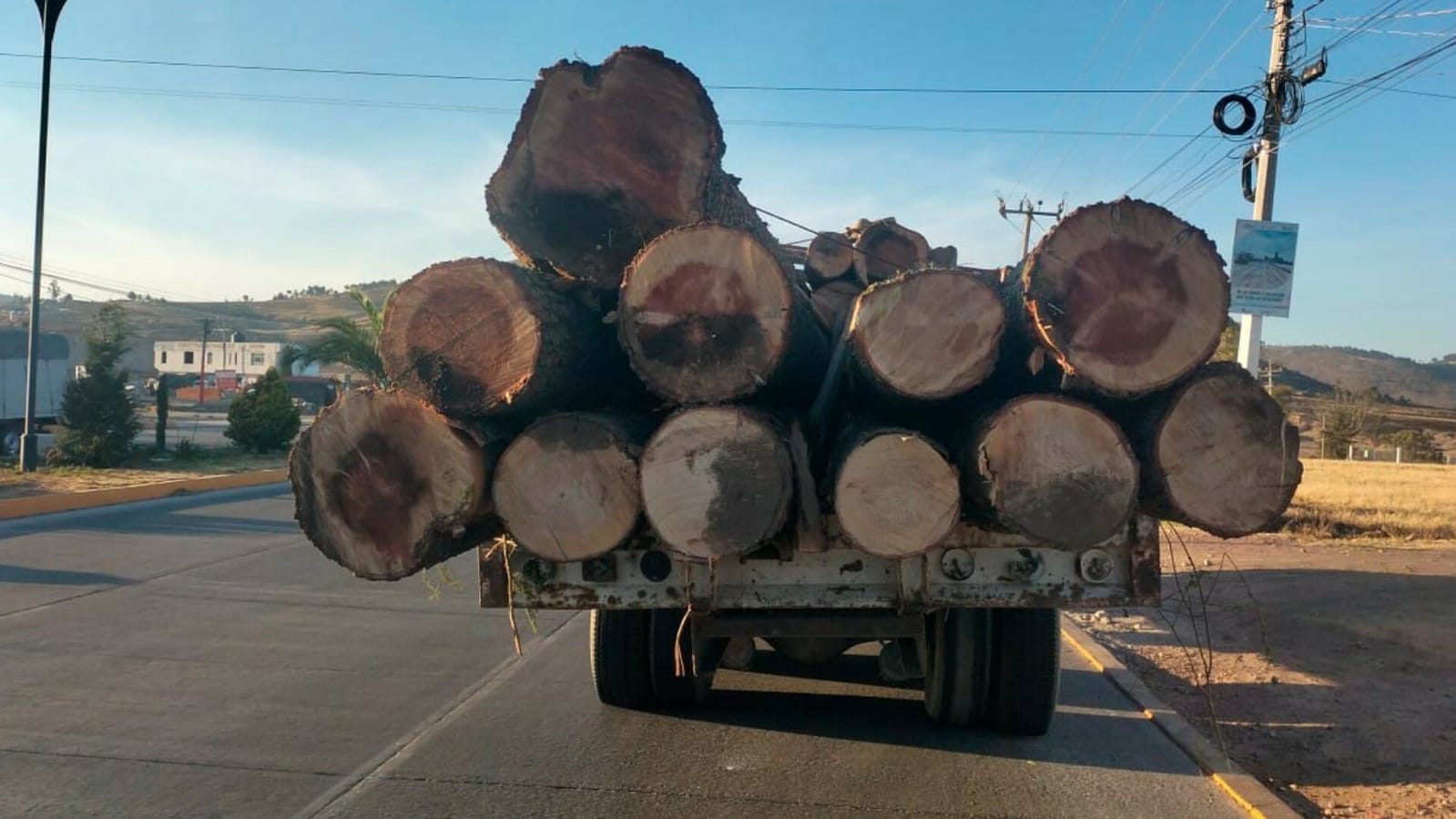 Caen dos talamontes en San José del Rincón, recupera madera robada. Foto: SSEM