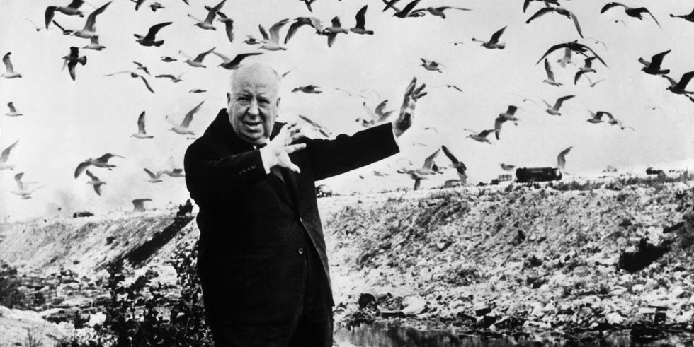 Los Pájaros, película de Alfred Hitchcock, 1963. 