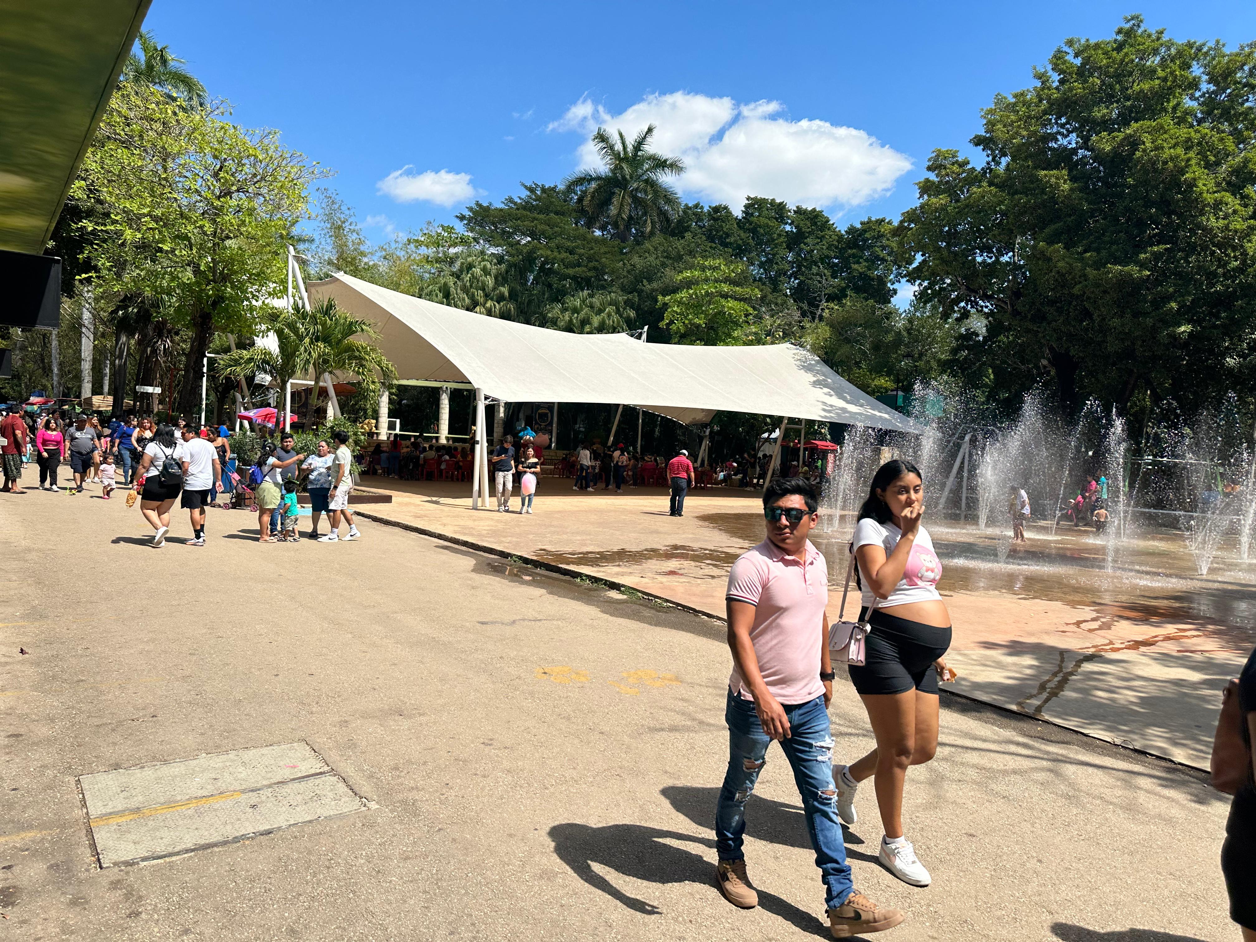 visitantes zoológico Centenario de Mérida 