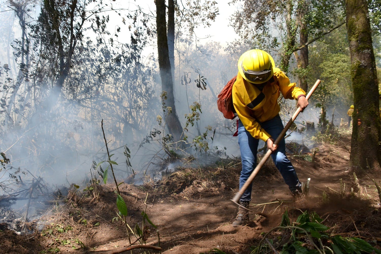 Liquidan 13 incendios forestales en Edoméx. Foto: Probosque