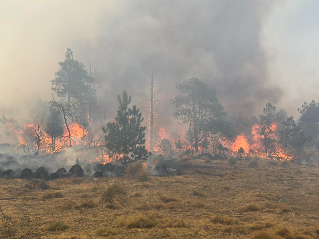Incendios forestales. El 33% se concentra en cinco municipios en Edoméx. Foto: Probosque