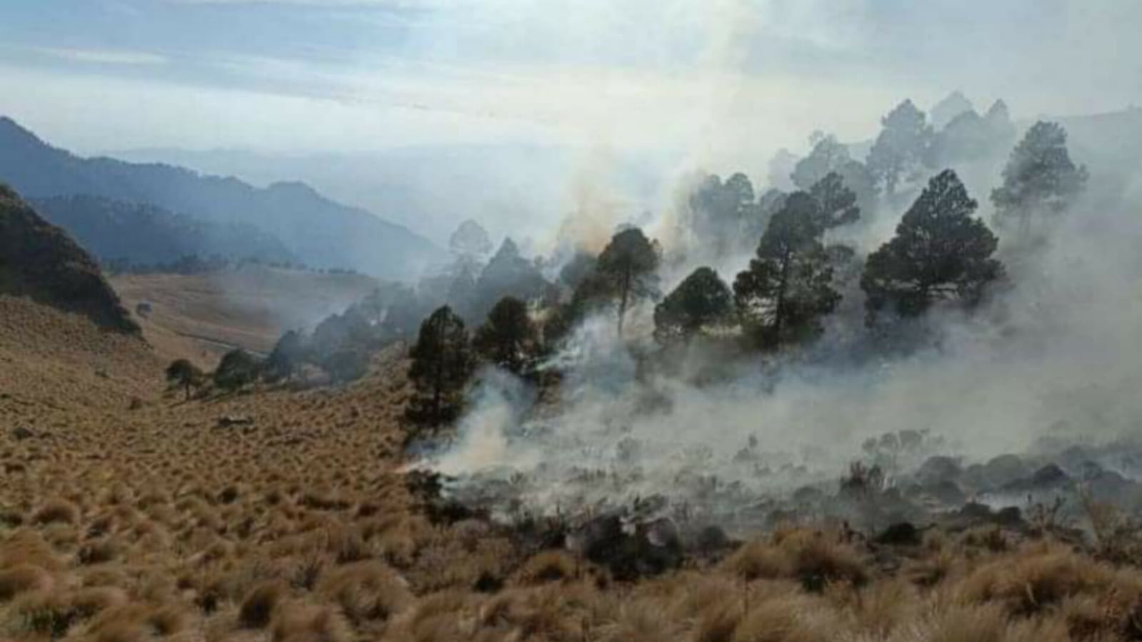 Son tres días del incendio forestal en el Parque Nacional Izta-Popo. Foto: Especial