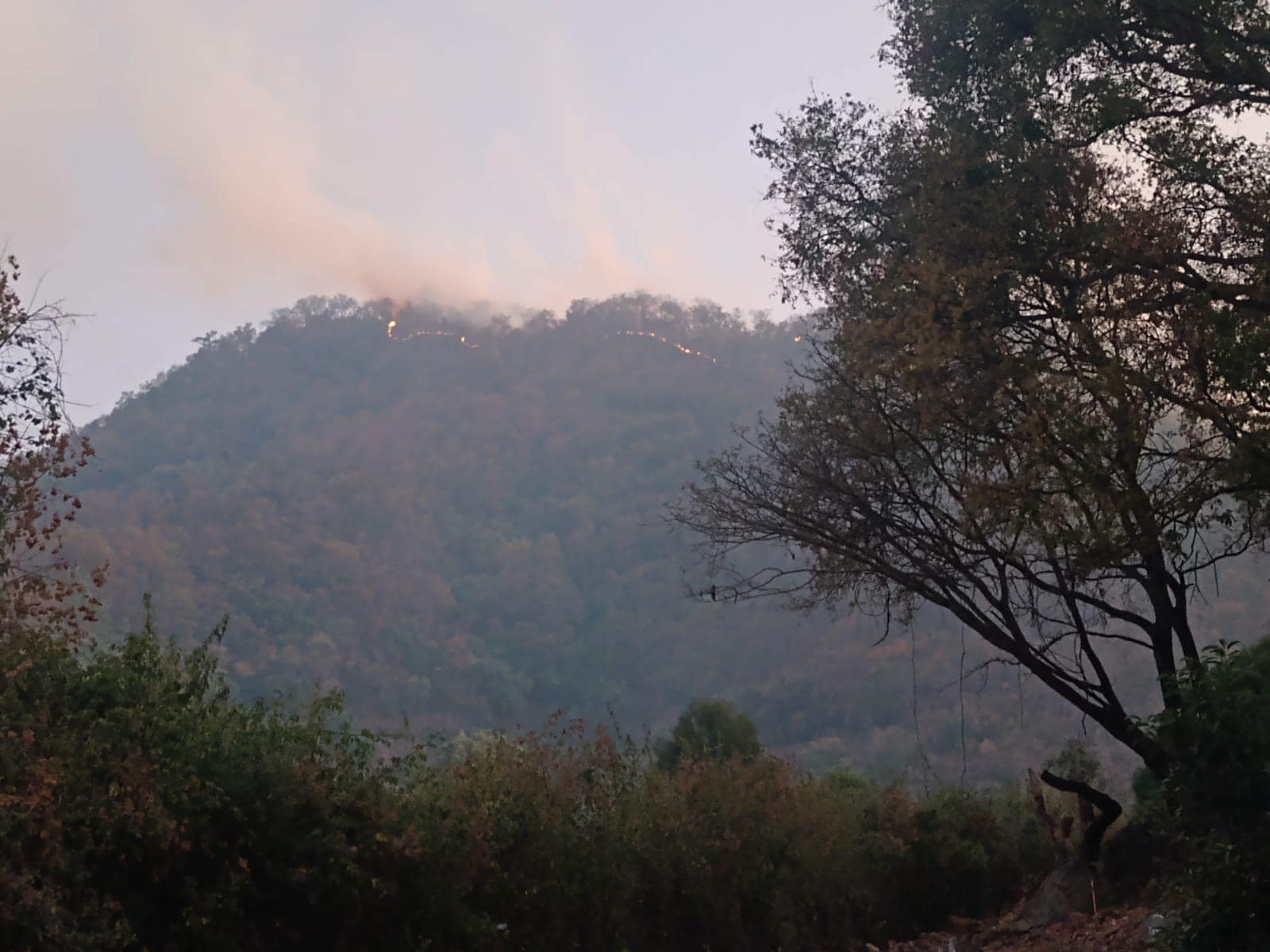 Incendio forestal en San Isidro Amola, paraje La Nopalera, en Ocuilan. Foto: Ayuntamiento de Ocuilan