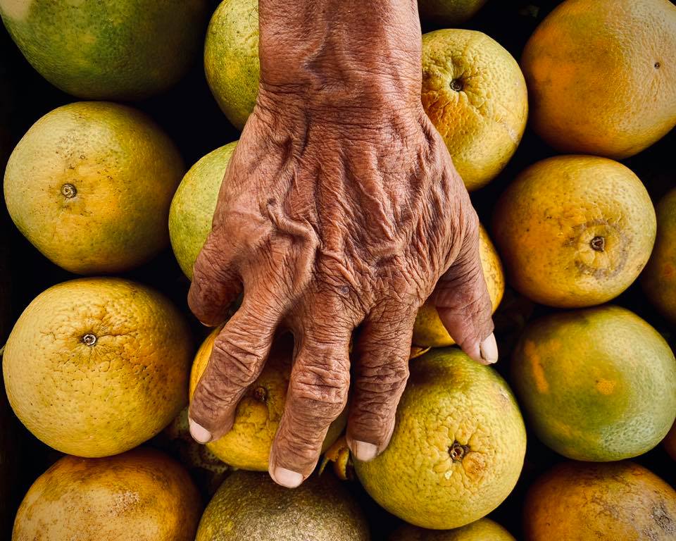 naranjas y una mano de mujer 