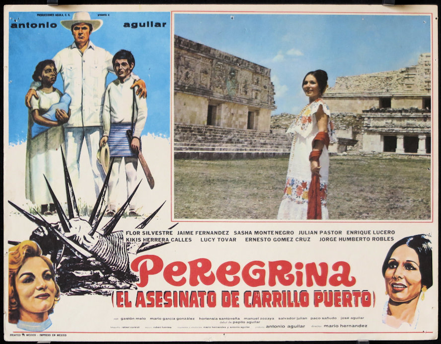 Poster de Peregrina, la película 