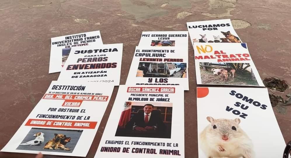 Activistas protestan en la alameda de Toluca contra el maltrato animal. Foto: Mario C. Rodríguez