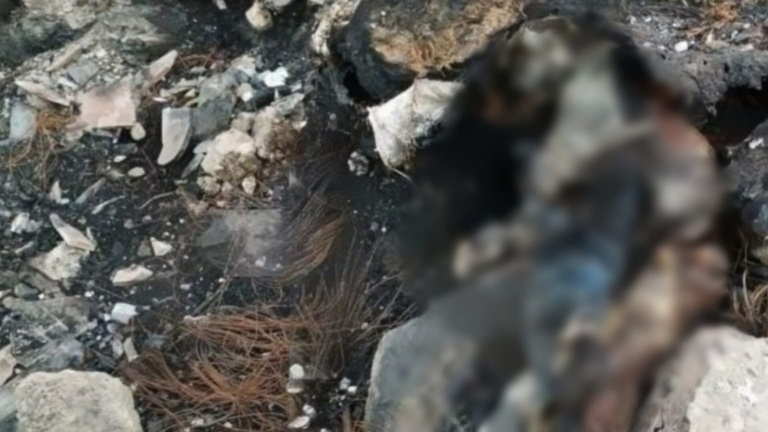Hallan restos humanos en Santiago Tlaxomulco en Toluca. Foto: RRSS
