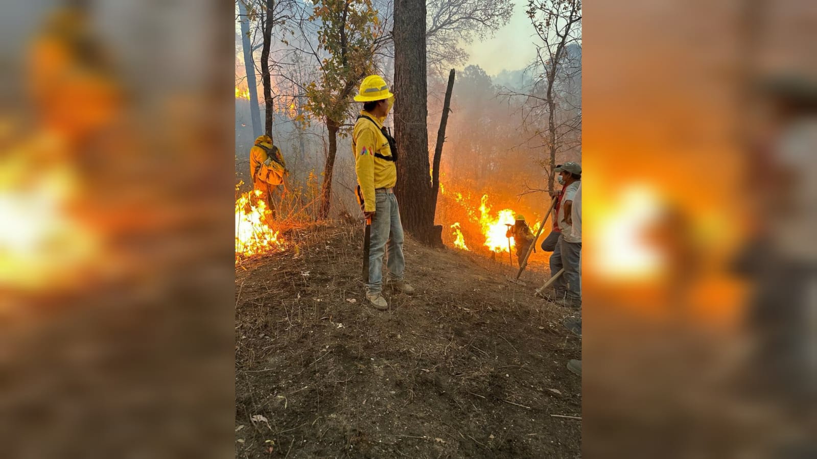 Alarma por incendio forestal en Coatepec Harinas. Foto: Cerrito Colorado Mpio De Atlacomulco De Fabela